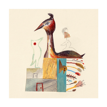 Great Crested Grebe