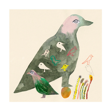 Pink Necked Green Pigeon