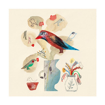 Violet-eared Waxbill