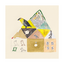 Product Image for estee-zales-yellow-headed-blackbird-print