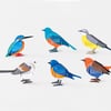 A set of six colorful bird-shaped mini desk calendars, each showing a different month number and small printed monthly grid.