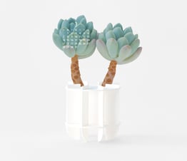 Green Plants - Paper Craft Calendar