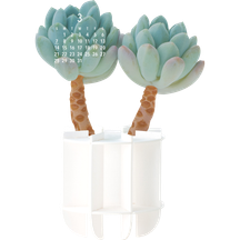 Green Plants - Paper Craft Calendar