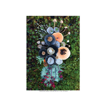 Mushroom Medley with Red Berries