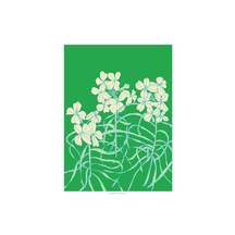 Pine Wallflower
