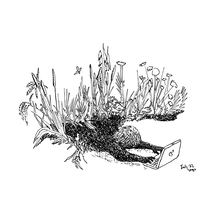 Compost