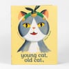 A paperback book cover with an illustrated gray and white cat wearing a green headband, the author name "Jillian Tamaki," the text "Caldecott Honor Winner," and the title "young cat, old cat,".