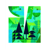 Product Image for josh-kenyon-shapey-tillamook-forest-print