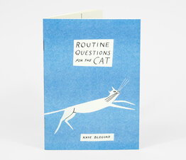 Routine Questions For The Cat