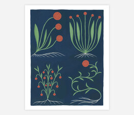 Medieval Flowers