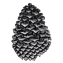 Cone