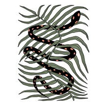 Hissing Fauna