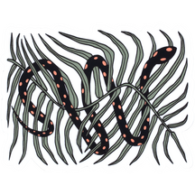 Hissing Fauna