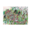 Product Image for lela-shields-and-so-it-is-they-caw-print