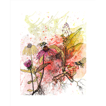 Echinacea, Tumeric, and Bees
