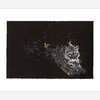 A print featuring a running cougar or mountain lion on a black background with scattered gold and gray speckled details.