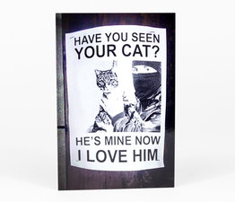 Have You Seen Your Cat?