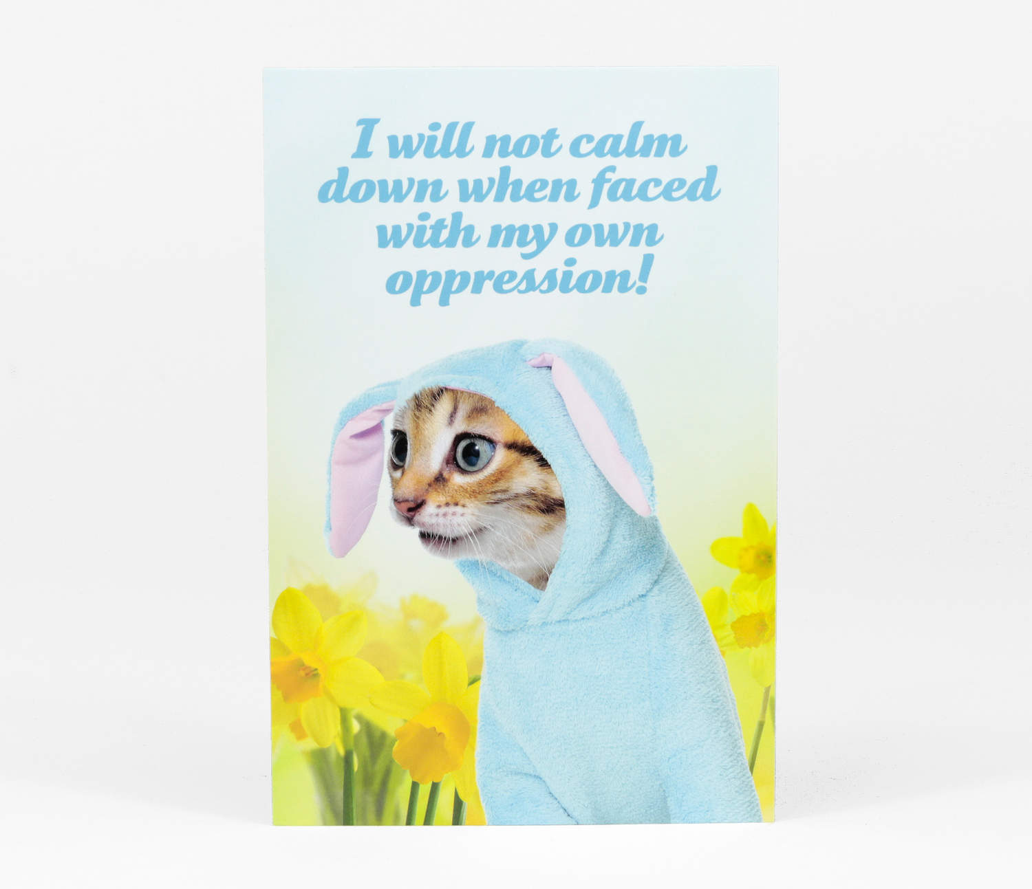 do kittens calm down