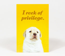 I Reek of Privilege