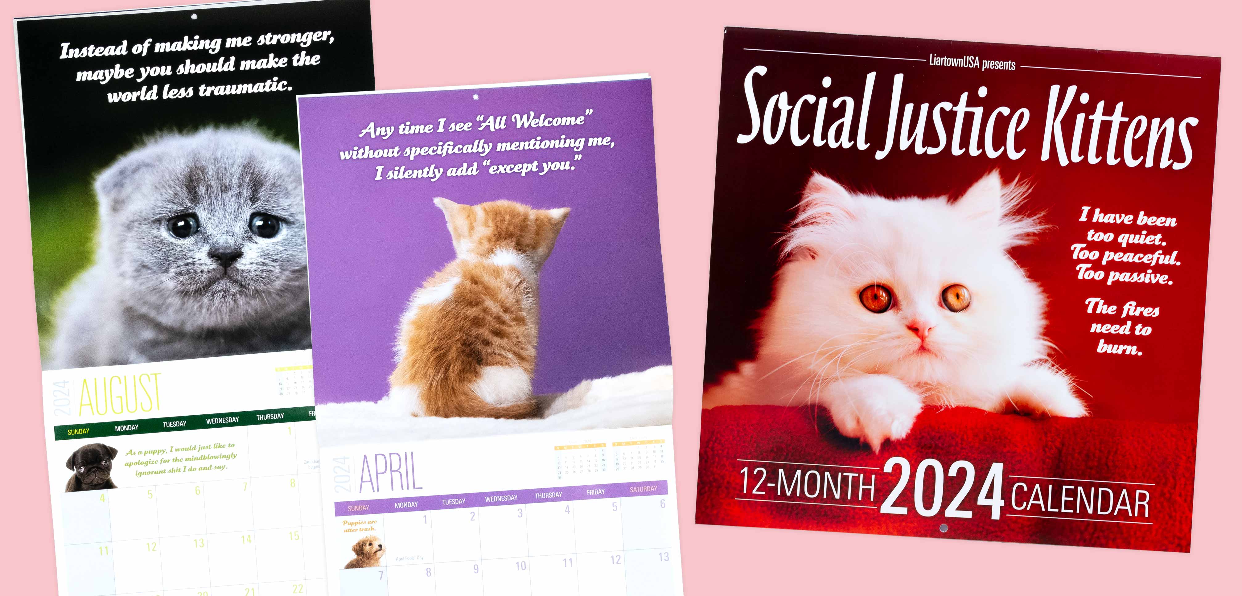 Sean Tejaratchi Social Justice Kittens at Social Justice Kittens Calendar 2025