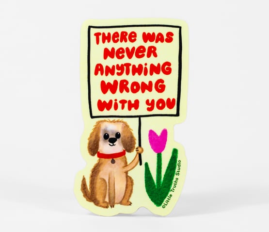 There Was Never Anything Wrong With You