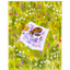 Product Image for loose-leaves-ll2604-dog-and-cat-picnic-card