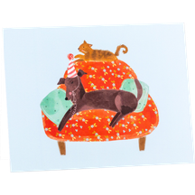 Birthday Dog Nap