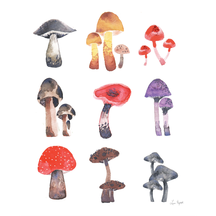 Mushrooms