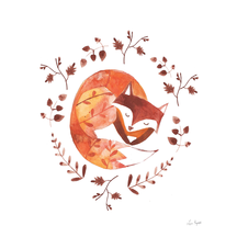 Sleeping Fox