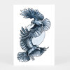 A postcard-sized print featuring two blue-gray crows in midair around a pale circular moon-like shape.