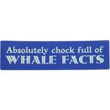 Whale Facts - Blue