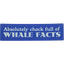 Product Image for lucy-bellwood-whale-facts-blue-bumper-sticker