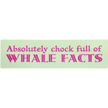 Whale Facts - Seafoam Green