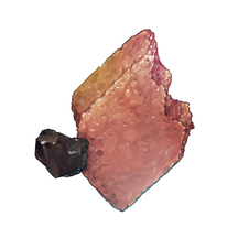 Protest Projectiles: No. 5