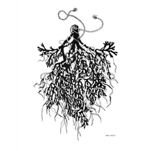 Aberteifi Seaweed 2