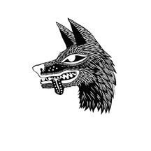 Canine