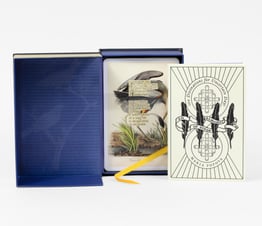100 Divinations for Uncertain Days