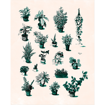All My Plants