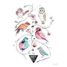 Birds of the Wild