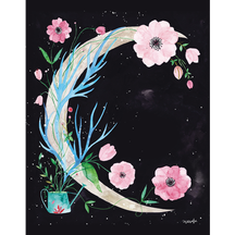 Floral Moon