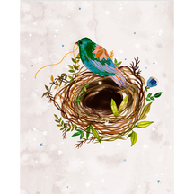 Nest