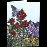 Product Image for mimi-williams-147-mountain-meadow-card