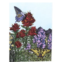 Mountain Meadow