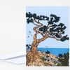 A folded greeting card featuring an illustrated Monterey cypress tree with a twisting trunk, dark green foliage, rocky ground, blue sky, ocean, and flying birds.
