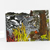 A rectangular greeting card or art card shows a colorful wildlife scene with orcas in water, a large tree, forest plants, a red octopus, and a bright green frog.