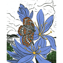 Blue Camas and Taylor's Checkerspot
