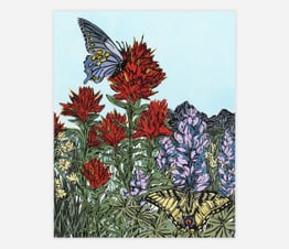 Mountain Meadow