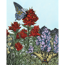 Mountain Meadow