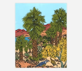 Oasis Fan Palm