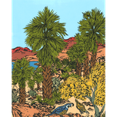 Product Image for mimi-williams-oasis-fan-palm-print